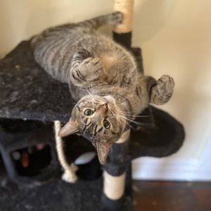 Meet your Posher, Moira